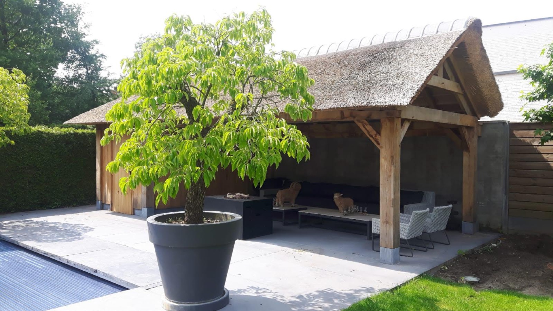 Afgewerkt rieten tuinhuis met zithoek naast een zwembad
